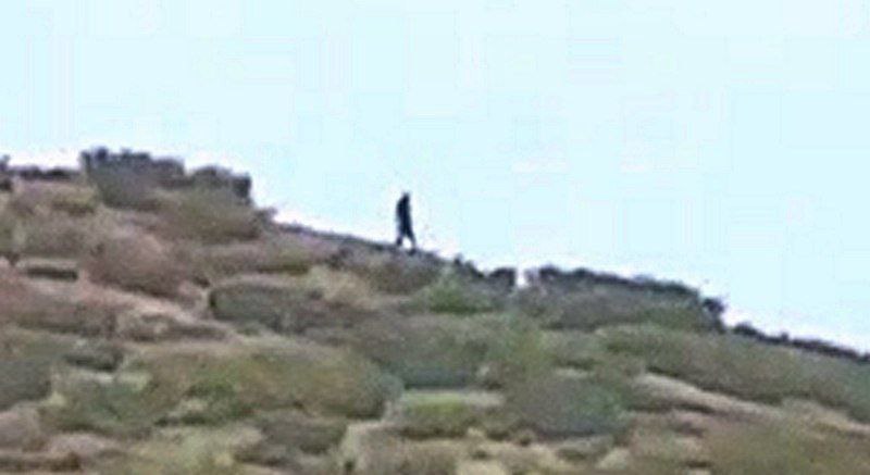 Видео с «чучуной» взбудоражило соцсети Якутии