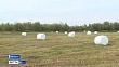 В Якутии заготовили более 259 тысяч тонн сена