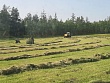 Более 1,6 тысяч тонн сена заготовлено в Якутии