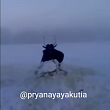 Где в этом году будут обитать сюллюкюны?